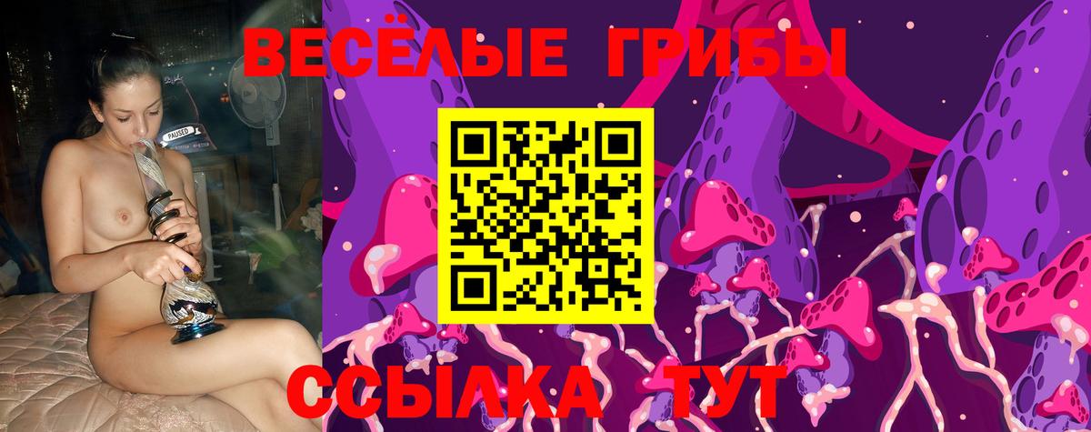 Галлюциногенные грибы GOLDEN TEACHER Отрадное